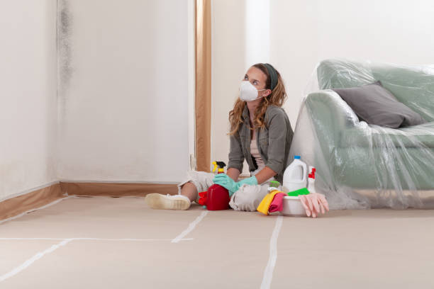 Reliable Mold Remediation contractor in Elk Grove Village, IL by WQB Mold Removal